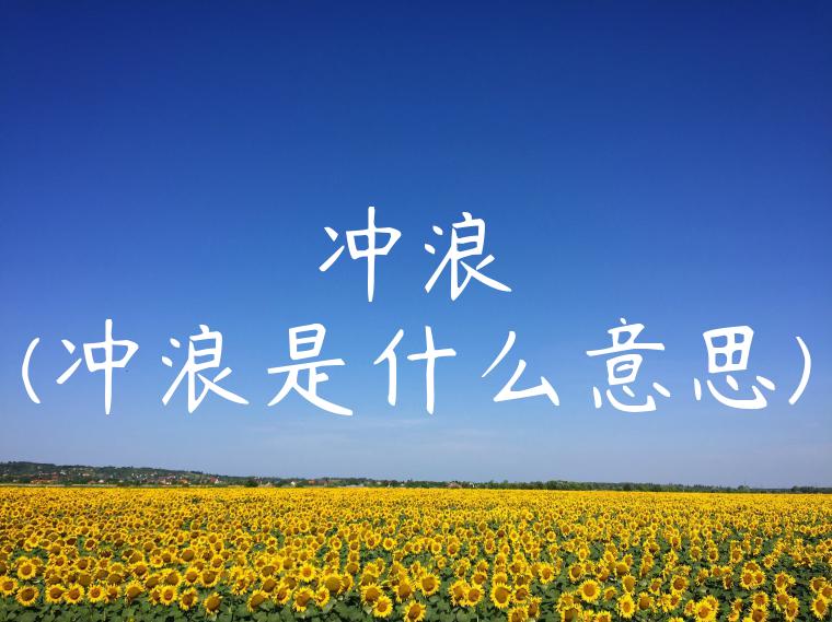 冲浪(冲浪是什么意思)