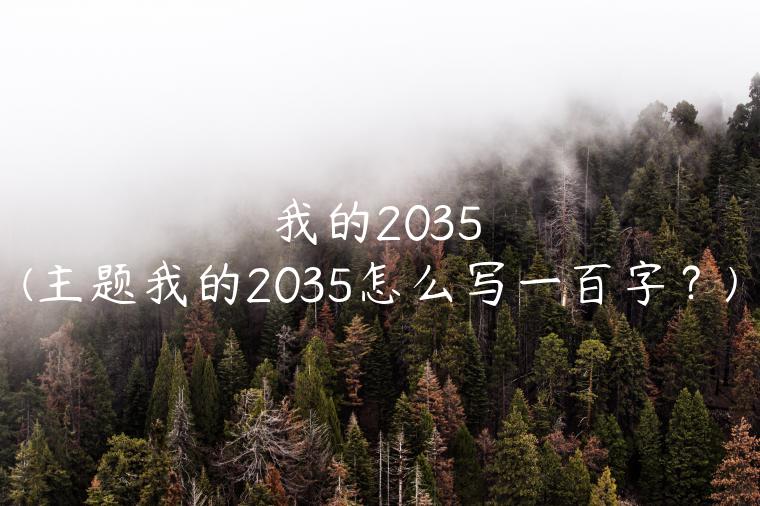 我的2035(主题我的2035怎么写一百字？)