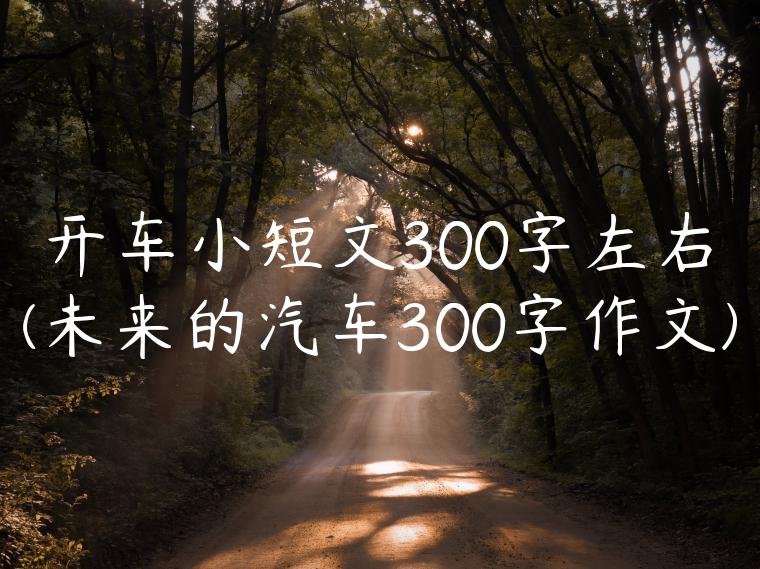 开车小短文300字左右(未来的汽车300字作文)