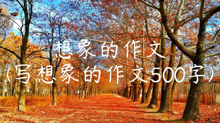 想象的作文(写想象的作文500字)