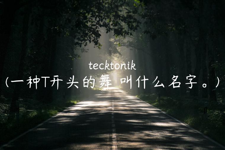 tecktonik(一种T开头的舞 叫什么名字。)