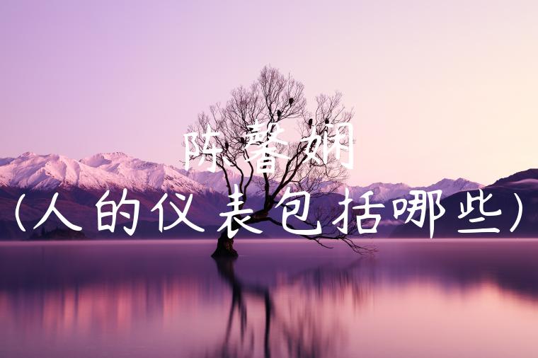 陈馨娴(人的仪表包括哪些)