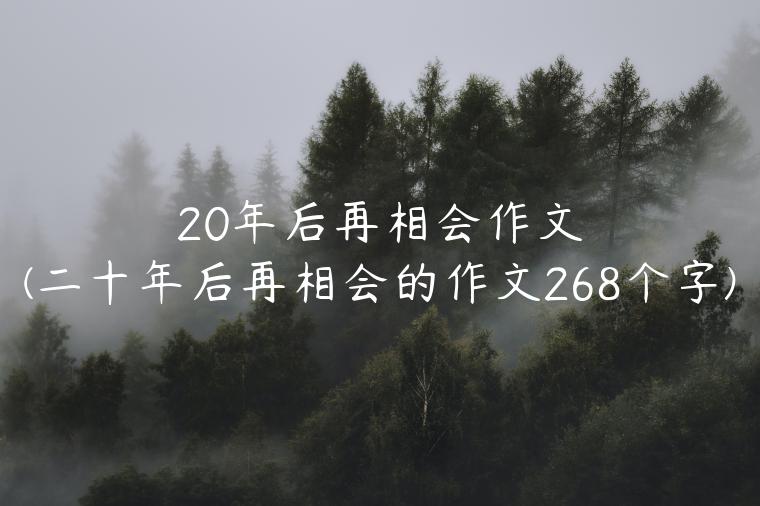 20年后再相会作文(二十年后再相会的作文268个字)