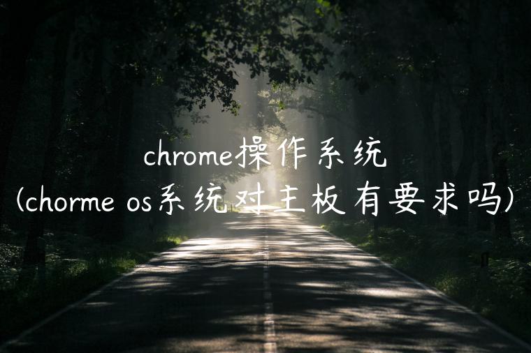 chrome操作系统(chorme os系统对主板有要求吗)