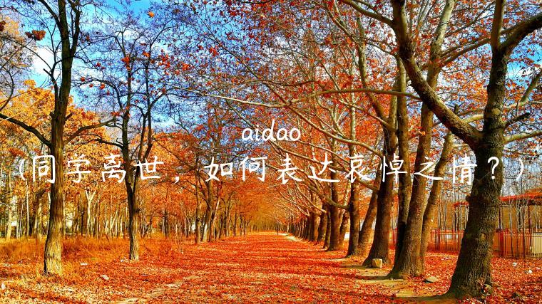 aidao(同学离世，如何表达哀悼之情？)