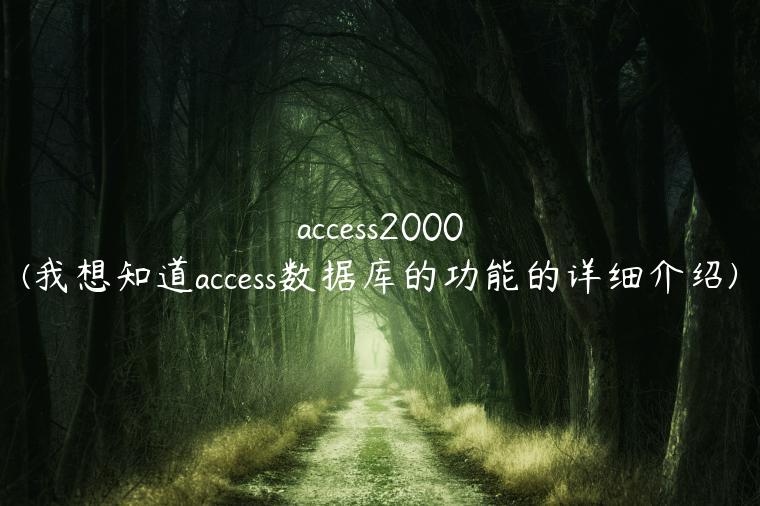 access2000(我想知道access数据库的功能的详细介绍)