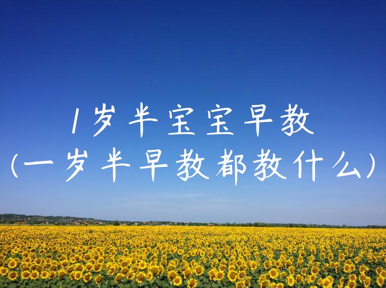 1岁半宝宝早教(一岁半早教都教什么)