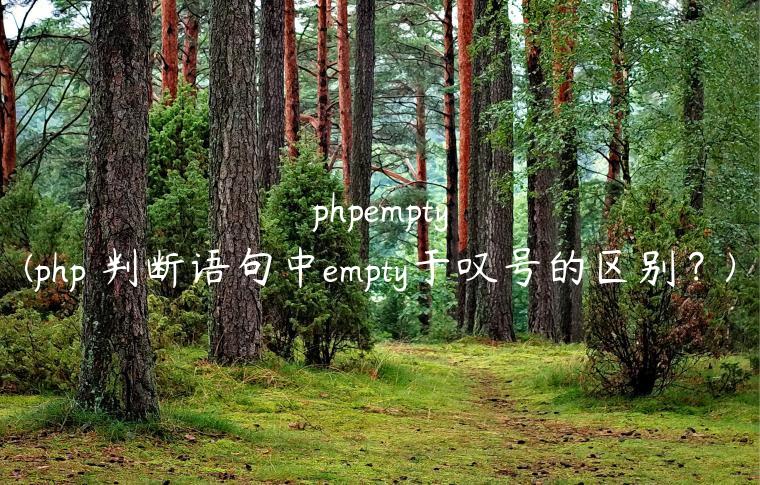 phpempty(php 判断语句中empty于叹号的区别？)