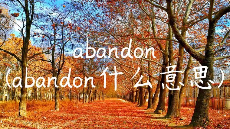 abandon(abandon什么意思)