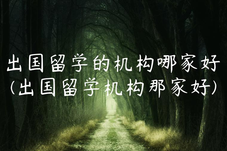 出国留学的机构哪家好(出国留学机构那家好)