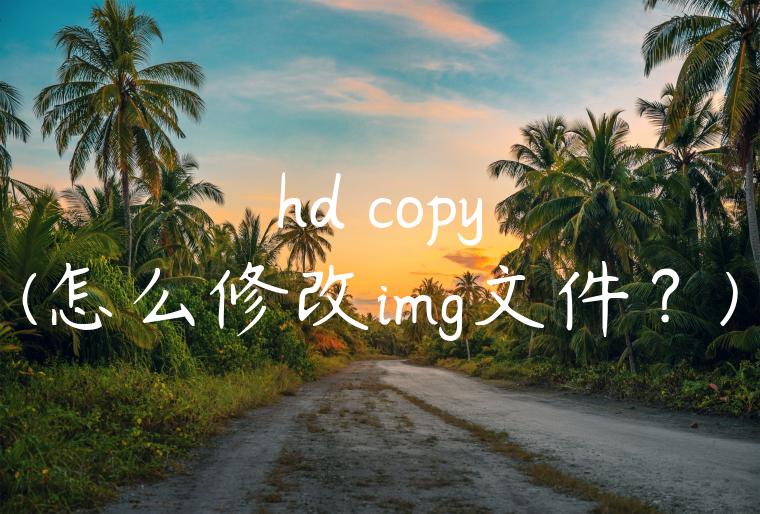 hd copy(怎么修改img文件？)