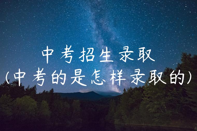 中考招生录取(中考的是怎样录取的)