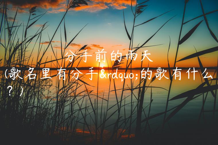 分手前的雨天(歌名里有分手”的歌有什么？)