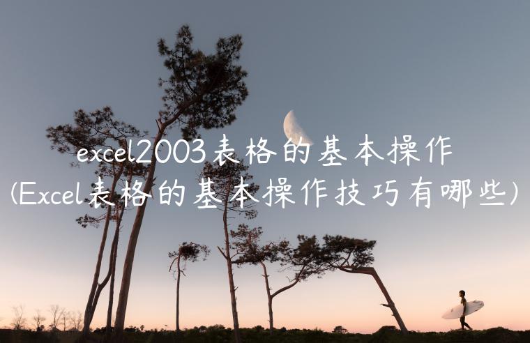 excel2003表格的基本操作(Excel表格的基本操作技巧有哪些)