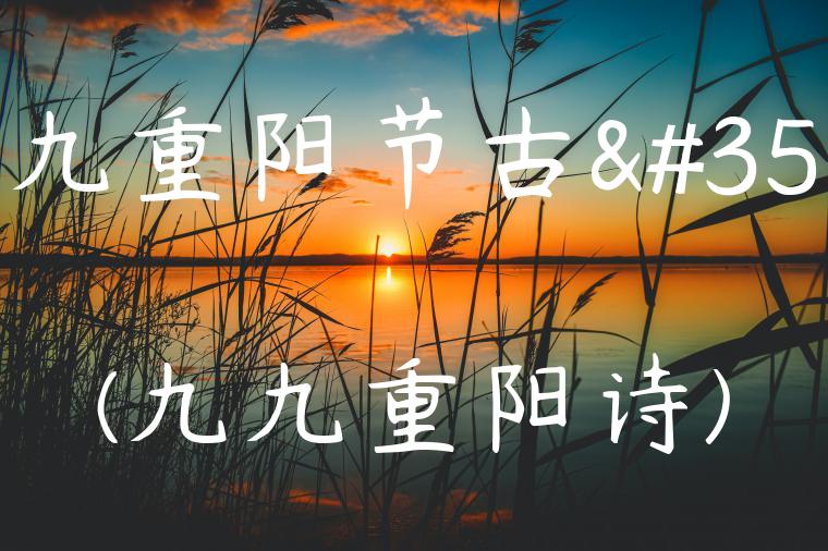 九九重阳节古诗(九九重阳诗)