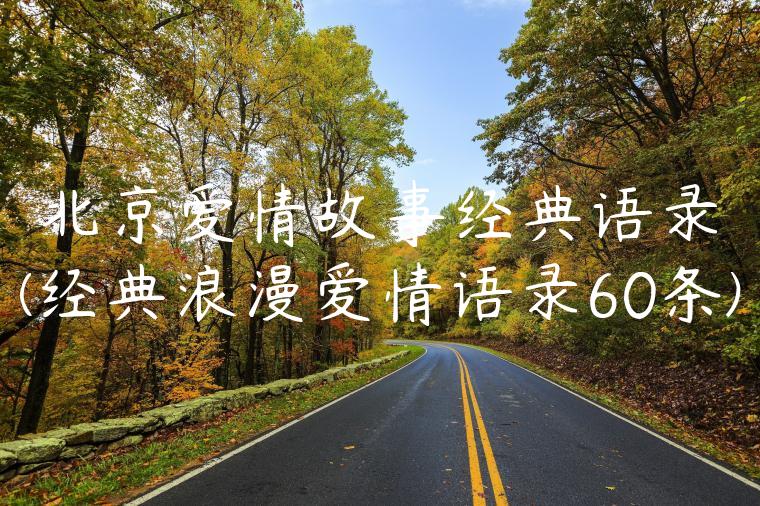 北京爱情故事经典语录(经典浪漫爱情语录60条)