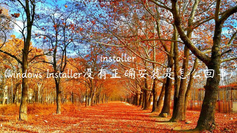 installer(windows Installer没有正确安装是怎么回事)