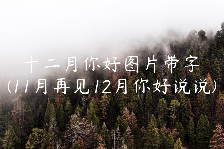 十二月你好图片带字(11月再见12月你好说说)