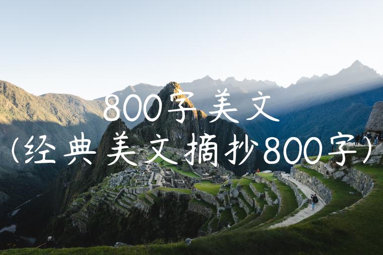 800字美文(经典美文摘抄800字)