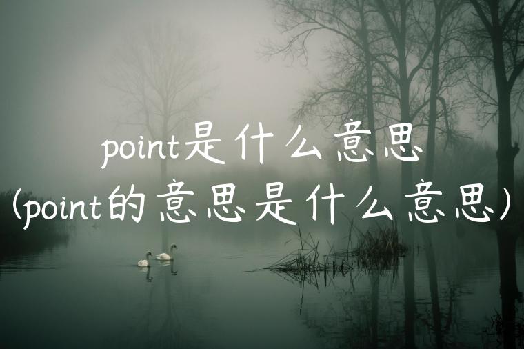 point是什么意思(point的意思是什么意思)