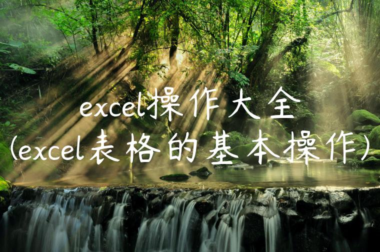 excel操作大全(excel表格的基本操作)