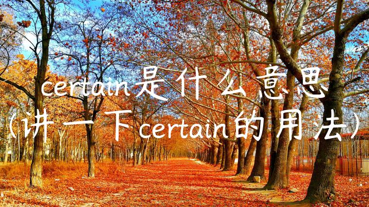 certain是什么意思(讲一下certain的用法)