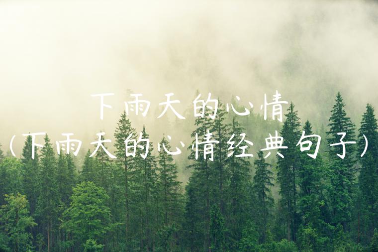 下雨天的心情(下雨天的心情经典句子)