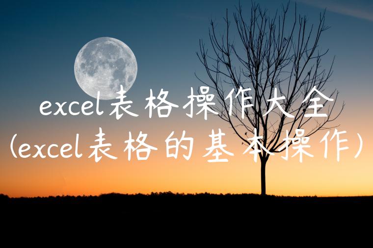 excel表格操作大全(excel表格的基本操作)