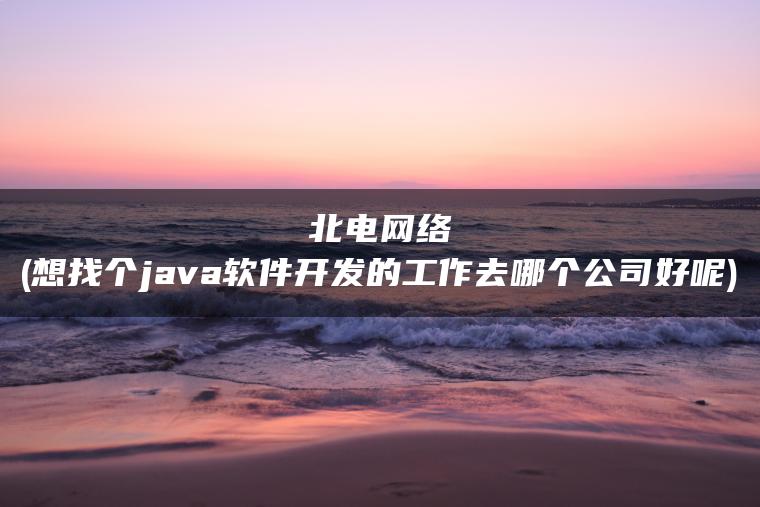 北电网络(想找个java软件开发的工作去哪个公司好呢)