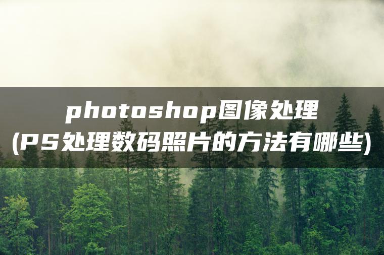 photoshop图像处理(PS处理数码照片的方法有哪些)