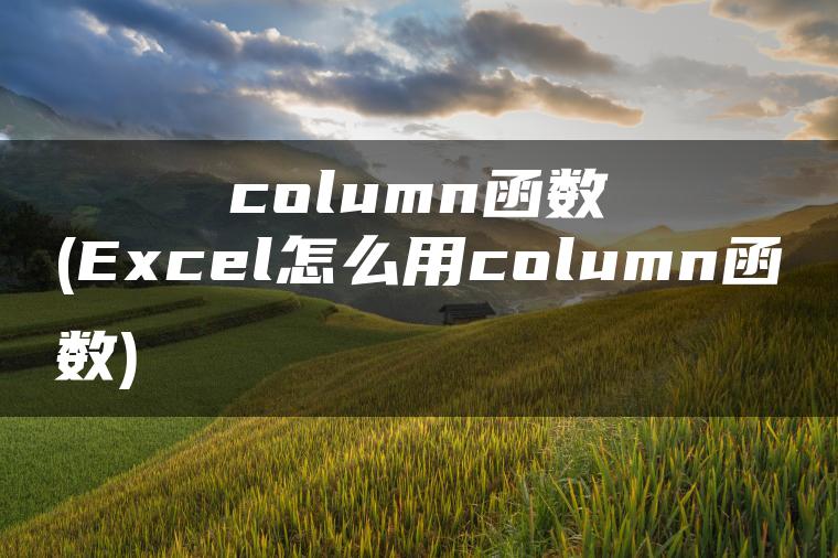 column函数(Excel怎么用column函数)