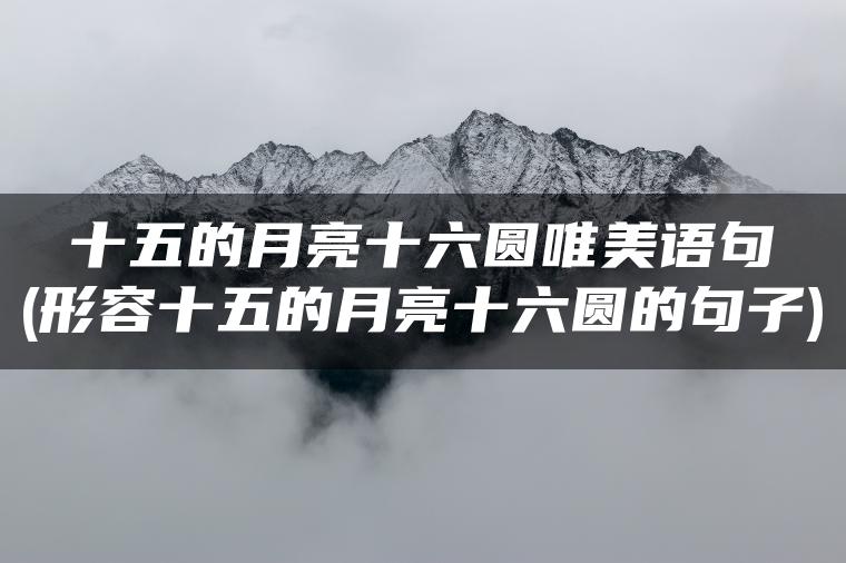 十五的月亮十六圆唯美语句(形容十五的月亮十六圆的句子)