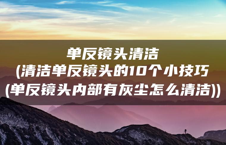 单反镜头清洁(清洁单反镜头的10个小技巧(单反镜头内部有灰尘怎么清洁))