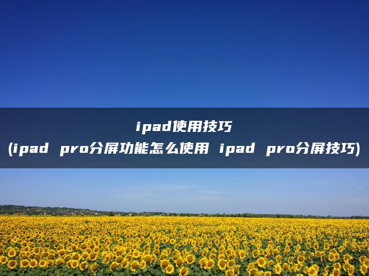 ipad使用技巧(ipad pro分屏功能怎么使用 ipad pro分屏技巧)