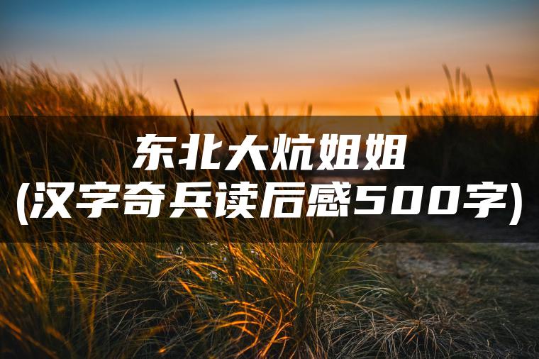 东北大炕姐姐(汉字奇兵读后感500字)