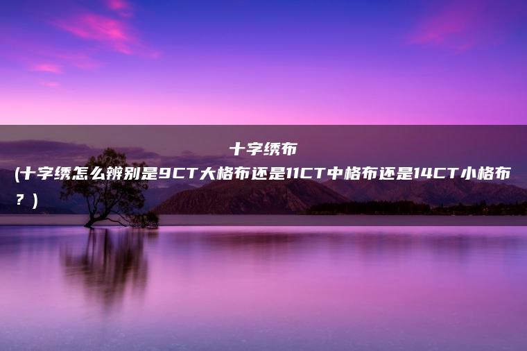 十字绣布(十字绣怎么辨别是9CT大格布还是11CT中格布还是14CT小格布？)