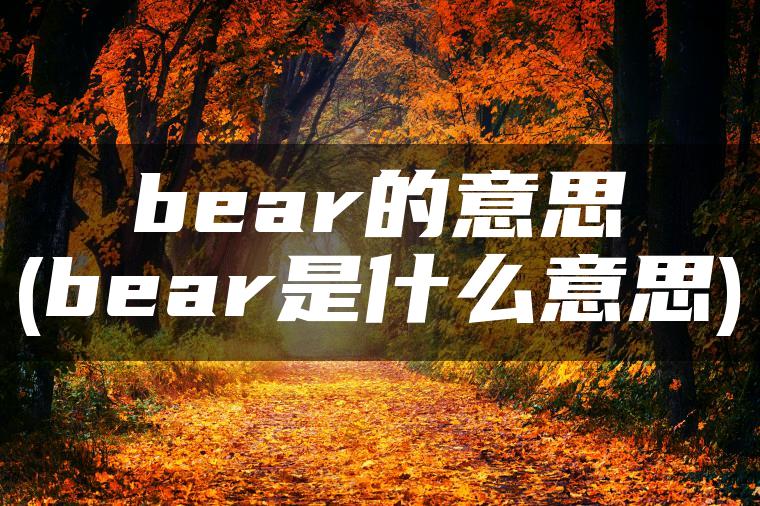 bear的意思(bear是什么意思)