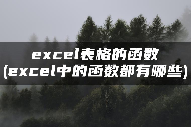 excel表格的函数(excel中的函数都有哪些)