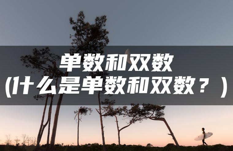 单数和双数(什么是单数和双数？)