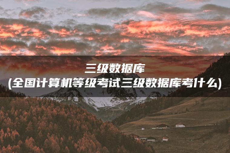 三级数据库(全国计算机等级考试三级数据库考什么)