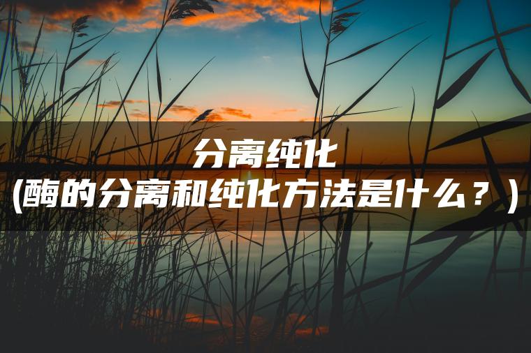 分离纯化(酶的分离和纯化方法是什么？)