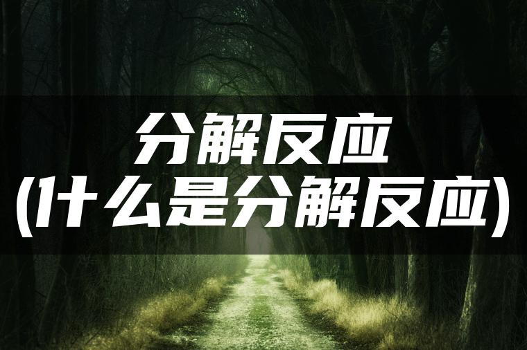 分解反应(什么是分解反应)