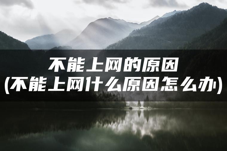 不能上网的原因(不能上网什么原因怎么办)