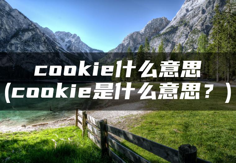 cookie什么意思(cookie是什么意思？)