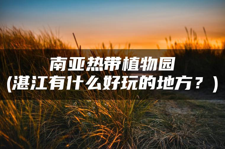 南亚热带植物园(湛江有什么好玩的地方？)