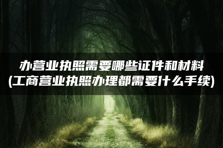 办营业执照需要哪些证件和材料(工商营业执照办理都需要什么手续)