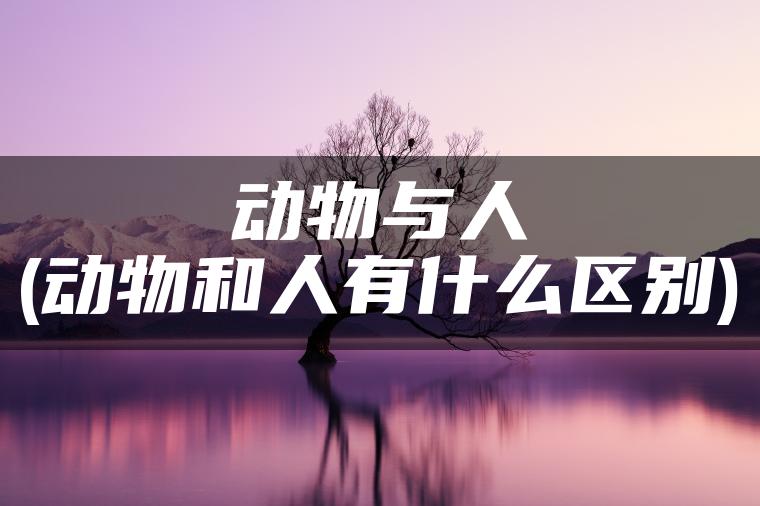 动物与人(动物和人有什么区别)