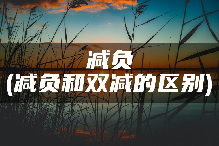 减负(减负和双减的区别)