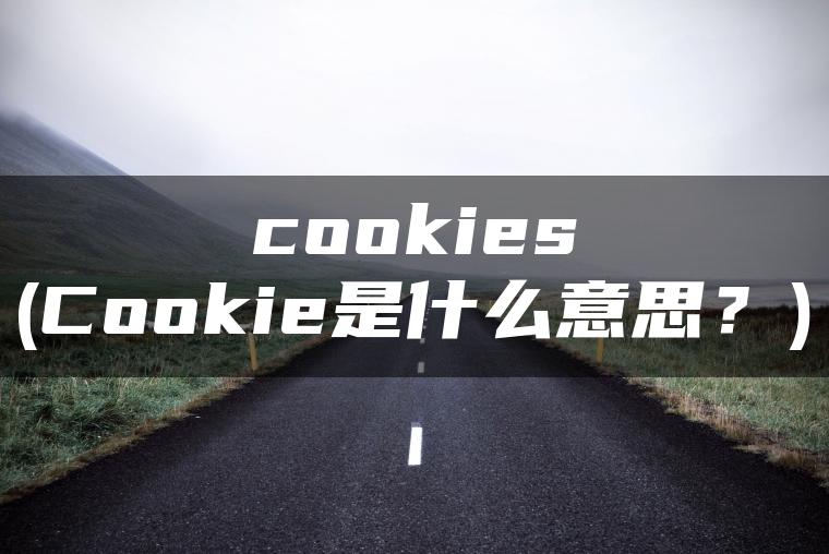 cookies(Cookie是什么意思？)