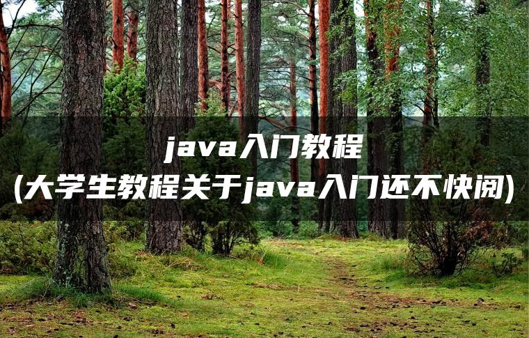 java入门教程(大学生教程关于java入门还不快阅)